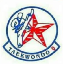 Logo Taekwondo America